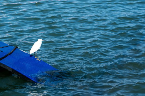 Évolution de la minceur : Voyage à travers les époques et transformations corporelles