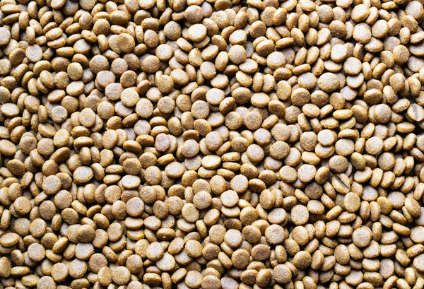 Cancer du sein : tout ce qu'il faut savoir pour se protéger